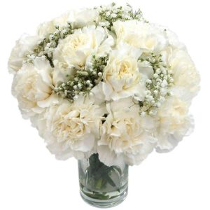 Elegant White Carnations