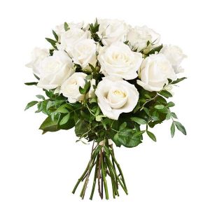 Pure White Roses