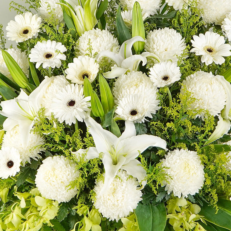 Soft Comfort Flowers - Image 2