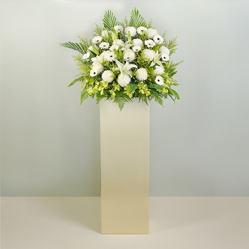 Soft Comfort Flowers