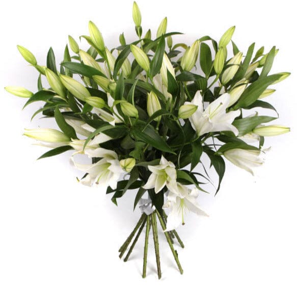 White Lily Tribute - Image 2
