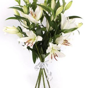 White Lily Tribute